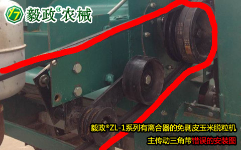 毅政牌ZL1系列有離合器的免剝皮玉米脫粒機，主傳動三角帶錯誤安裝