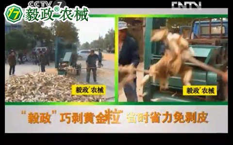 毅政牌ZL1系列免剝皮玉米脫粒機品牌形象宣傳片正式登陸中央電視臺CCTV7農業(yè)頻道黃金時間